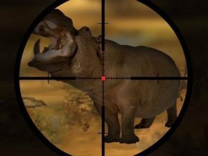 Wildlife Guardian Precision Challenge