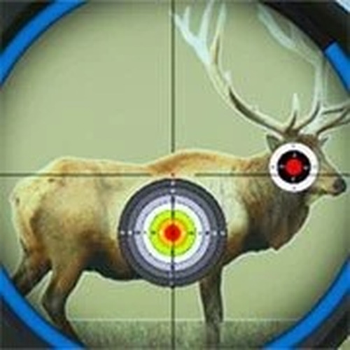 Precision Target Practice Field