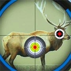 Precision Target Practice Field