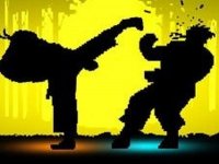 Shadow Match Action Game