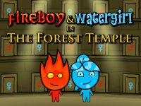Elemental Duo: Forest Temple Puzzle