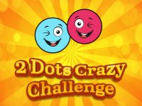 Dual Dot Color Puzzle
