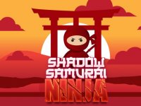 Shadow Warrior Adventure Game