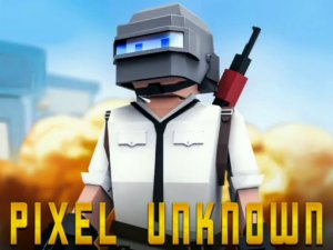 Pixel Battle Royale Shooting Game