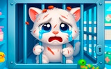 Cozy Haven: Animal Rescue & Grooming