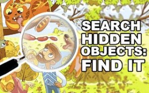 Picture Find Challenge