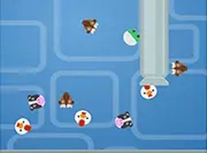 Critter Catch Dash